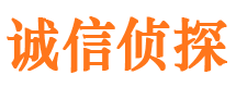 三门峡市私家侦探